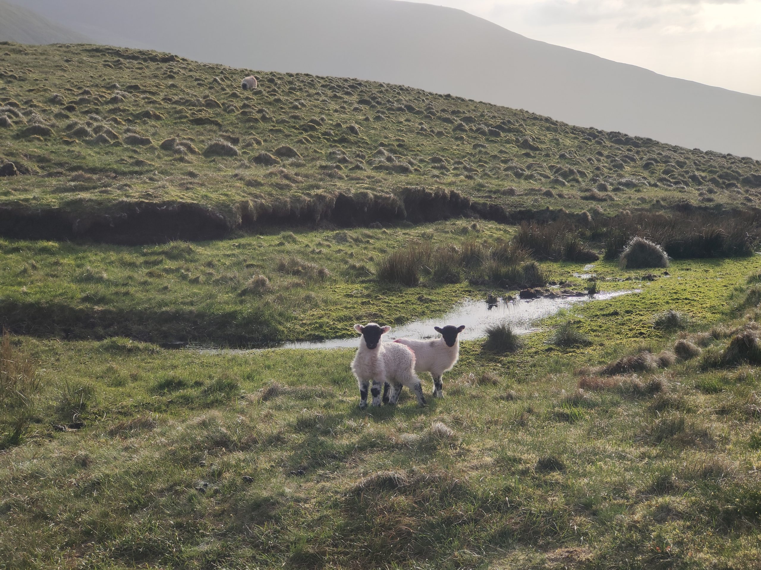 The Galtee Crossing